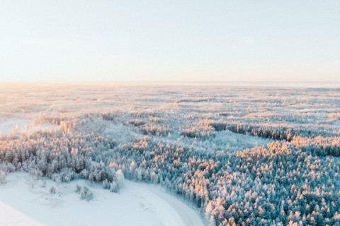 finland skog fiber